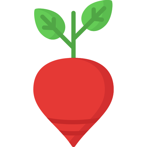 Beetroot Special Flat icon