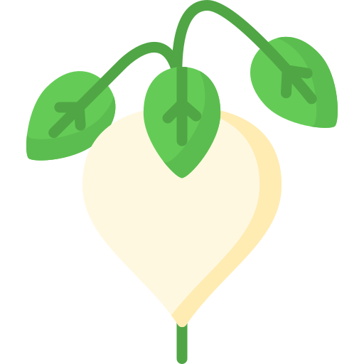 Turnip Special Flat icon