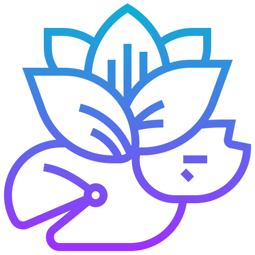 Lotus Meticulous Gradient icon