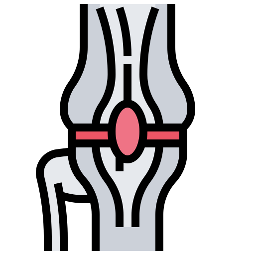 articolazione del ginocchio Meticulous Lineal Color icona