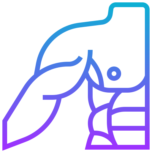muscle Meticulous Gradient Icône