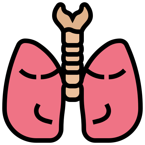 肺 Meticulous Lineal Color icon