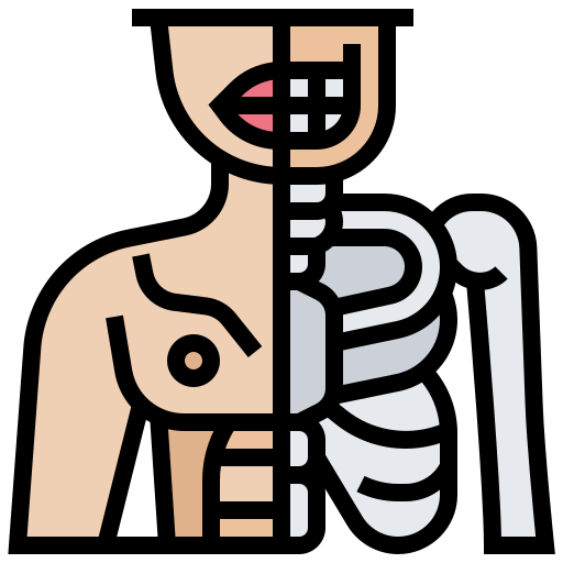 cuerpo humano Meticulous Lineal Color icono