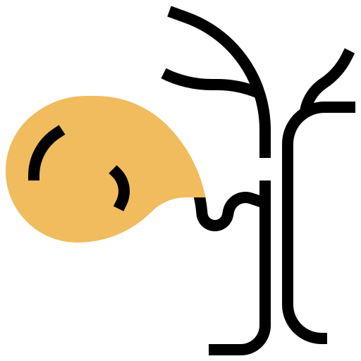 cistifellea Meticulous Yellow shadow icona