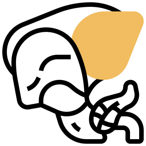 Órgano del hígado Meticulous Yellow shadow icono