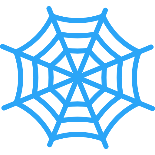 Spider web Special Flat icon