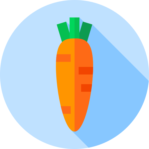 wortel Flat Circular Flat icoon