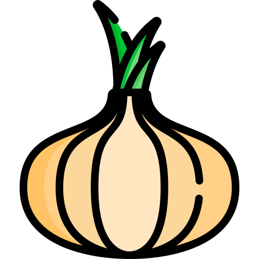 Onion Special Lineal color icon
