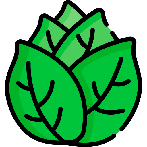 Cabbage Special Lineal color icon