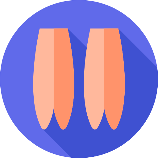 kipfilet Flat Circular Flat icoon