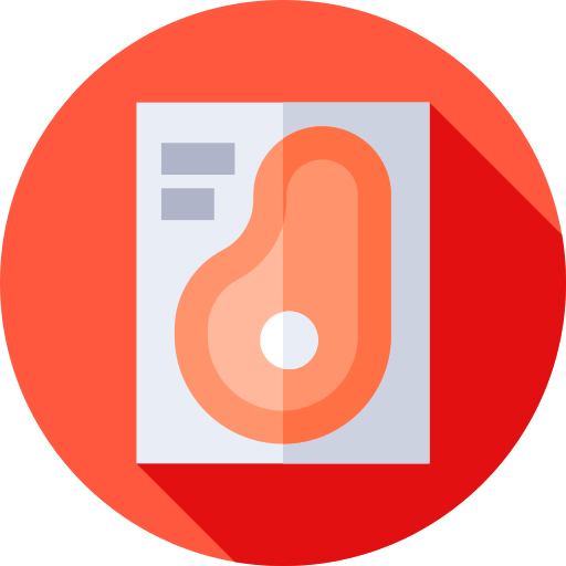 rindfleisch Flat Circular Flat icon
