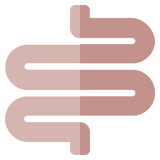 腸 Generic Flat icon