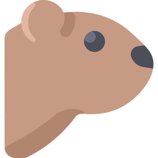 Groundhog Vitaliy Gorbachev Flat icon