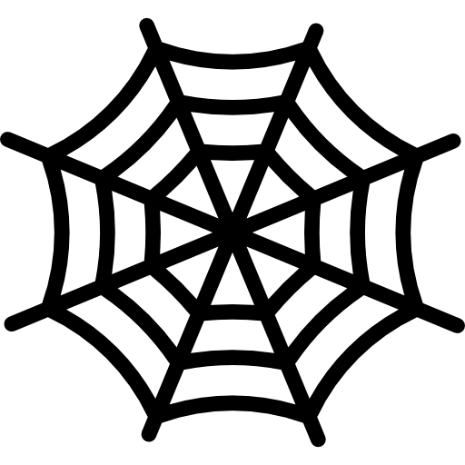 Spider web Special Lineal icon