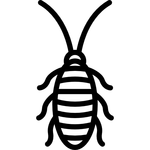 Cockroach Special Lineal icon