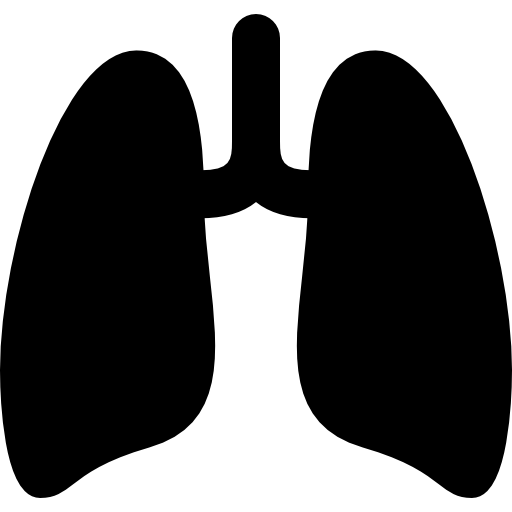 pulmões Roundicons Solid Ícone