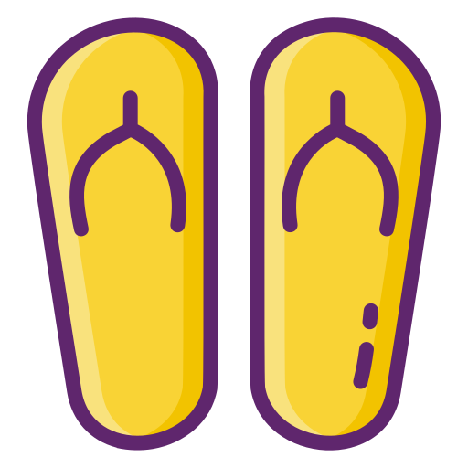 Flipflops Flaticons Lineal Color icon