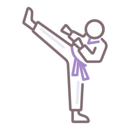 taekwondo Flaticons Lineal Color icono