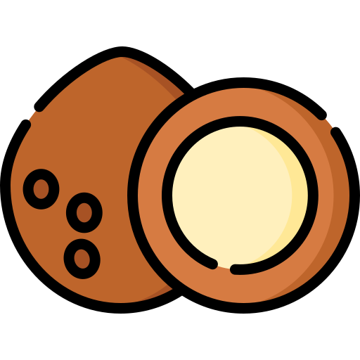 noce di cocco Special Lineal color icona