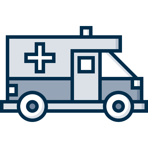 Ambulance Detailed Grey Lineal color icon