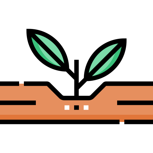 semillas en crecimiento Detailed Straight Lineal color icono