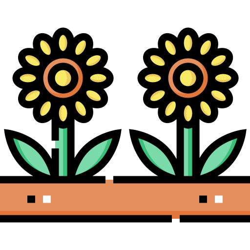 Sunflowers Detailed Straight Lineal color icon
