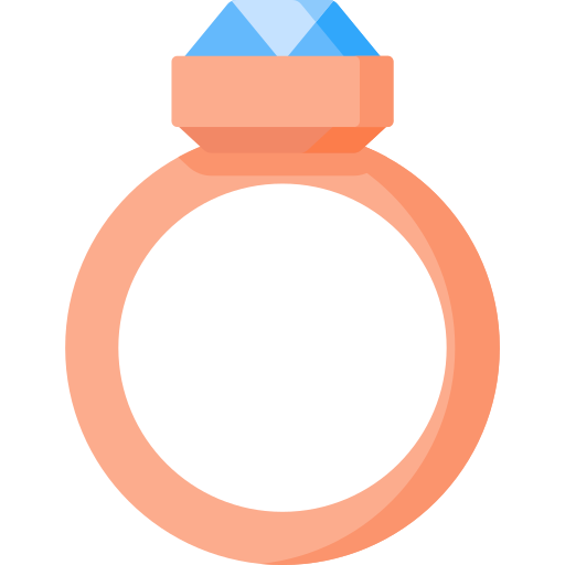 ring Special Flat icon