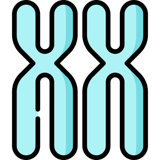 chromosome Special Lineal color Icône