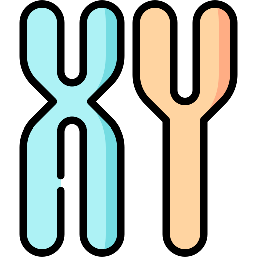 cromosoma Special Lineal color icono