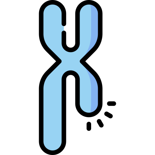 chromosome Special Lineal color Icône