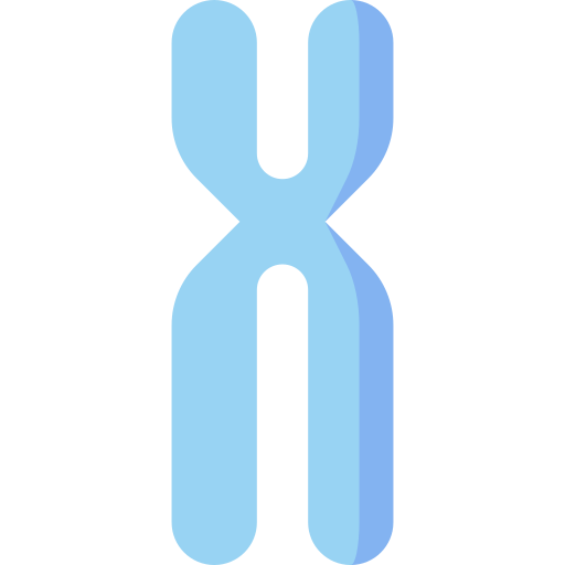 cromossoma Special Flat Ícone