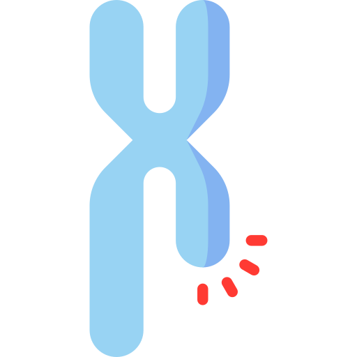 chromosome Special Flat Icône