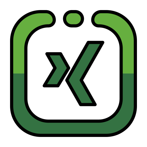 Xing Generic Outline Color icon