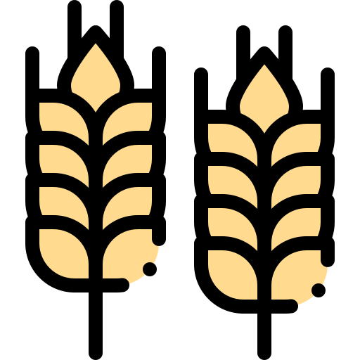 小麦 Detailed Rounded Lineal color icon