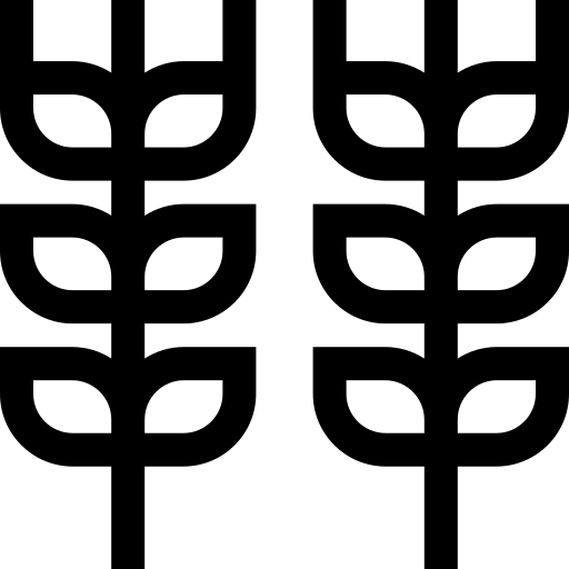 trigo Basic Straight Lineal Ícone