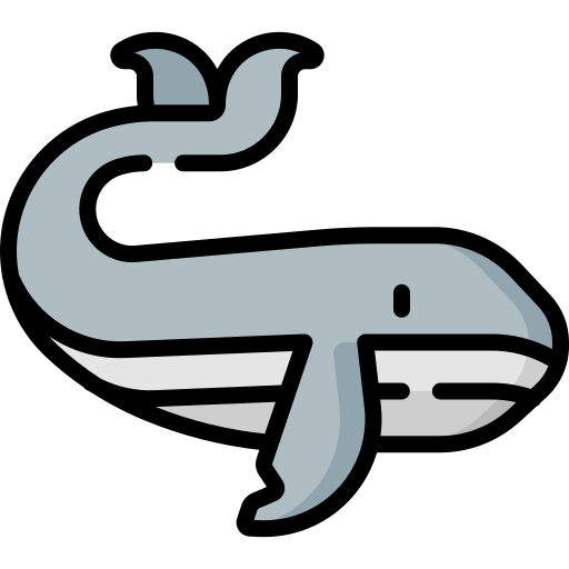 baleia Special Lineal color Ícone