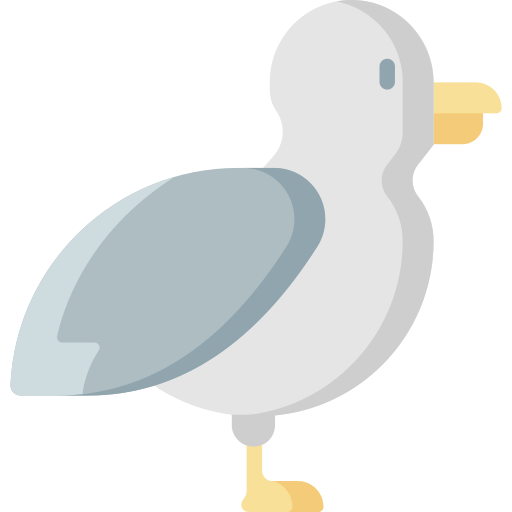 möwe Special Flat icon