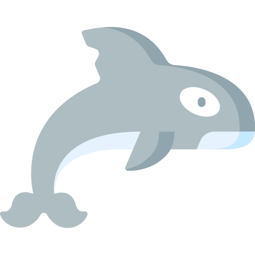 orca Special Flat icon
