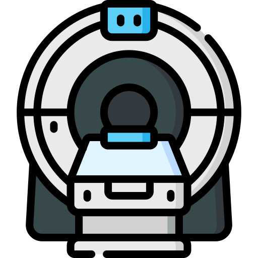 Mri Special Lineal color icon