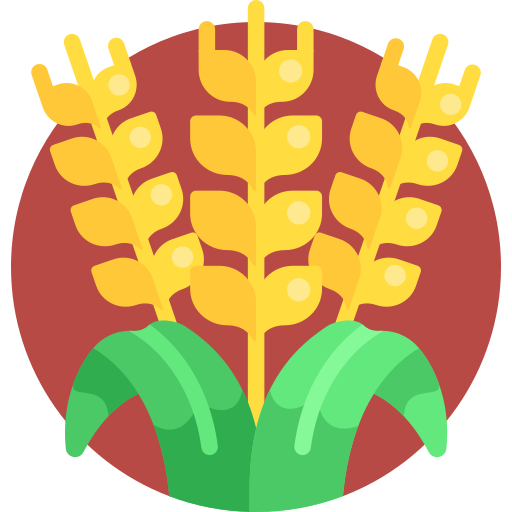 Wheat Detailed Flat Circular Flat icon