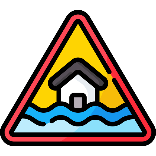 alluvione Special Lineal color icona