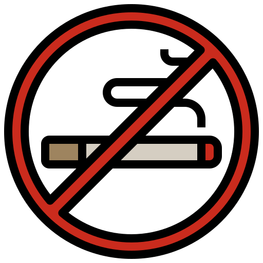 non fumare Surang Lineal Color icona