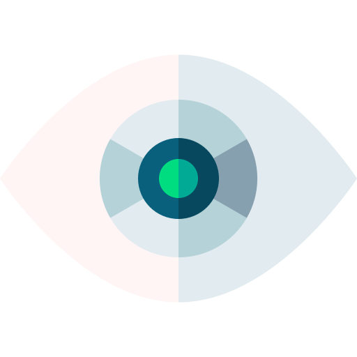 oogherkenning Basic Straight Flat icoon
