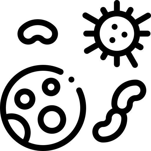 Bacteria Detailed Rounded Lineal icon