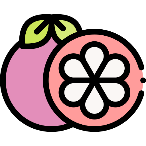 mangostan Detailed Rounded Lineal color icon