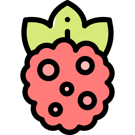 Raspberry Detailed Rounded Lineal color icon