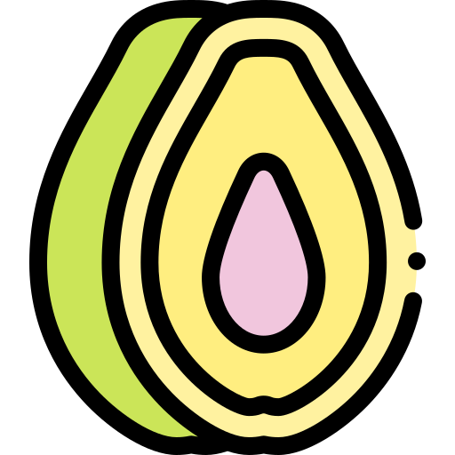 Papaya Detailed Rounded Lineal color icon