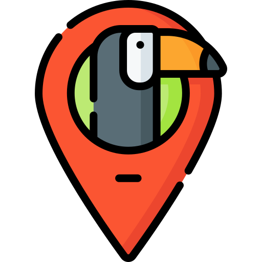 Location Special Lineal color icon
