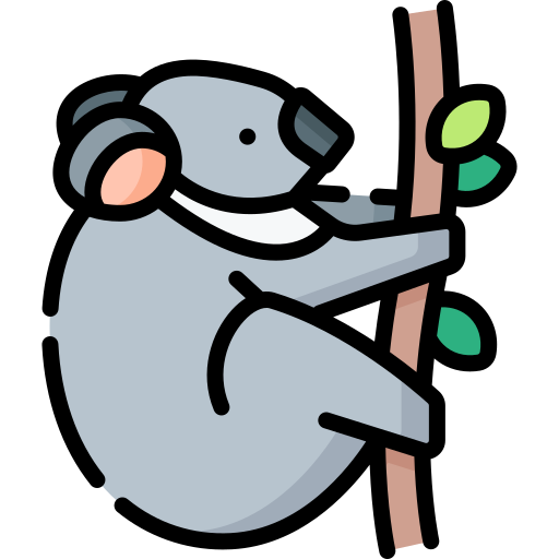 koala Special Lineal color icon