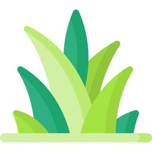 gras Special Flat icon